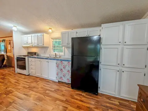 10654 Alpine Drive, Lake MI 48632 photo 5