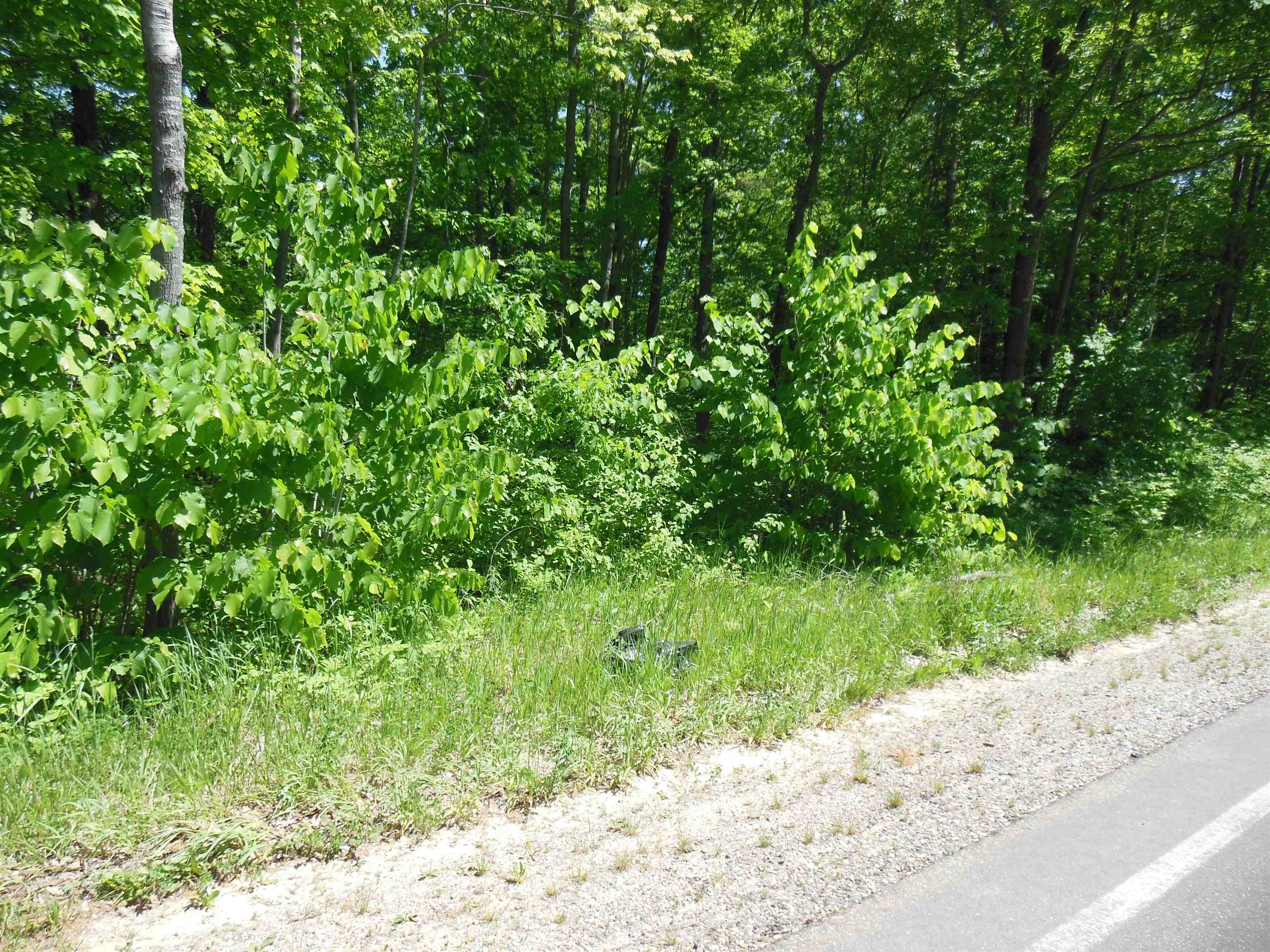 Lot 26 Rodgers Road, Harrison MI 48625 photo 1