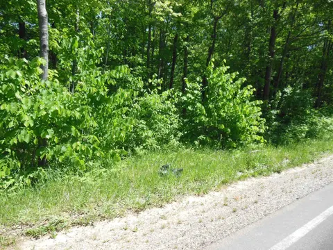 Lot 26 Rodgers Road, Harrison MI 48625 photo 1