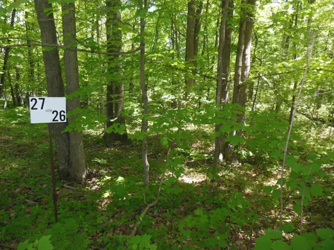 Lot 26 Rodgers Road, Harrison MI 48625 photo 2