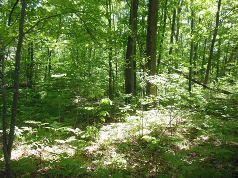 Lot 26 Rodgers Road, Harrison MI 48625 photo 3