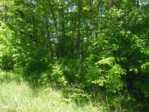Lot 26 Rodgers Road, Harrison MI 48625 photo 4