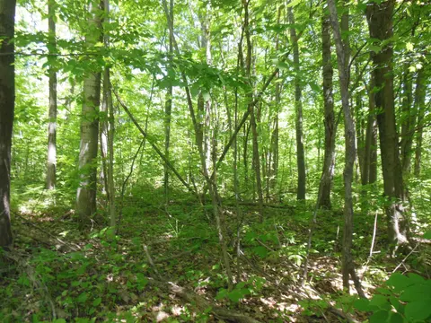 Lot 26 Rodgers Road, Harrison MI 48625 photo 5