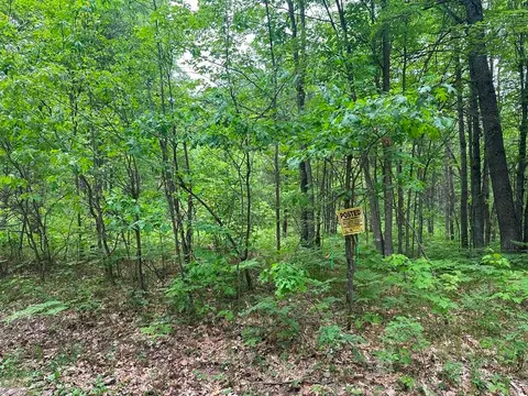 6 Acres Easement Road, Harrison MI 48625 photo 2