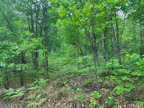 6 Acres Easement Road, Harrison MI 48625 photo 3