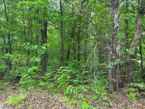 6 Acres Easement Road, Harrison MI 48625 photo 4