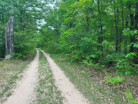 6 Acres Easement Road, Harrison MI 48625 photo 5