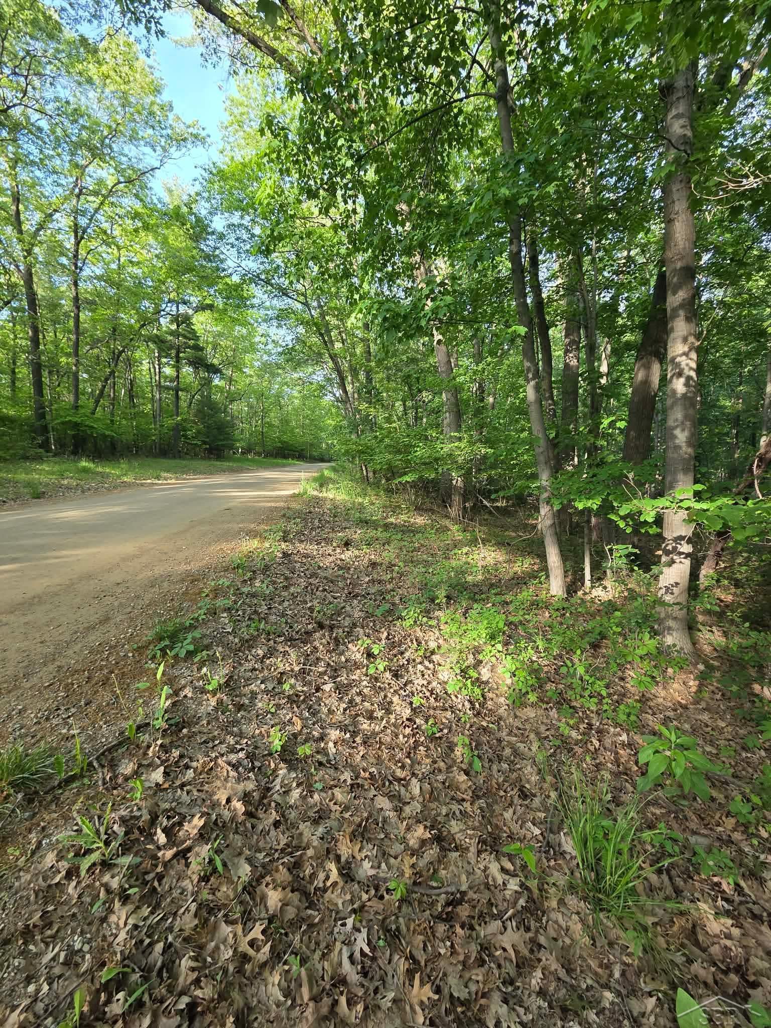 2531 Weaver Road, Port Austin MI 48467 photo 1
