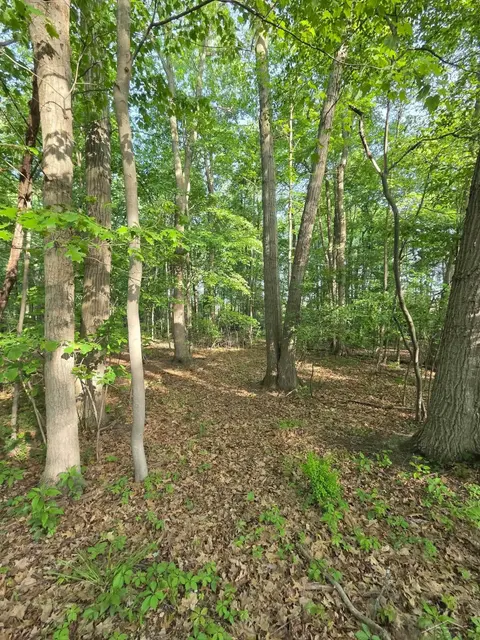 2531 Weaver Road, Port Austin MI 48467 photo 2