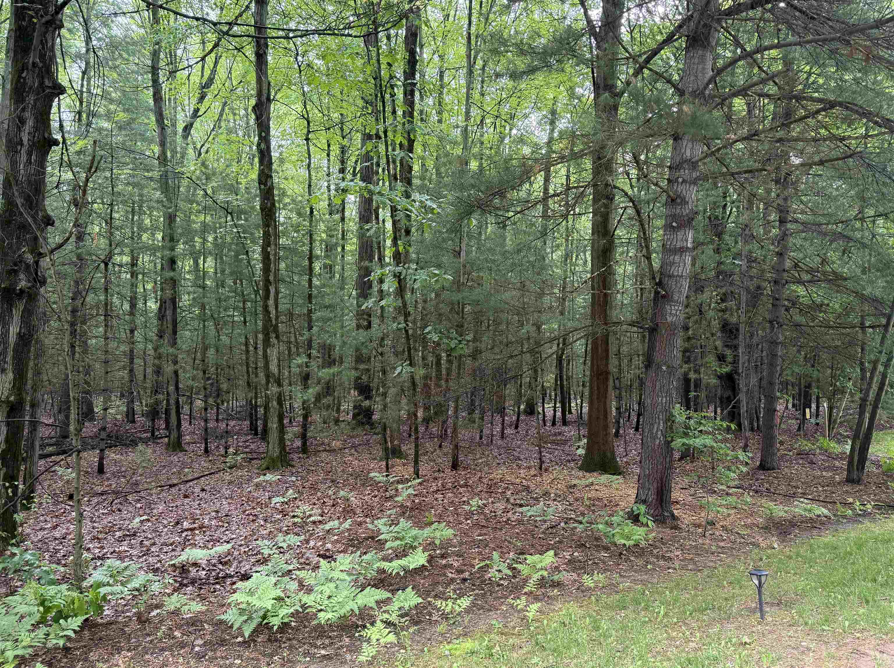 Lot 15A Sunset Court, Sanford MI 48657 photo 1