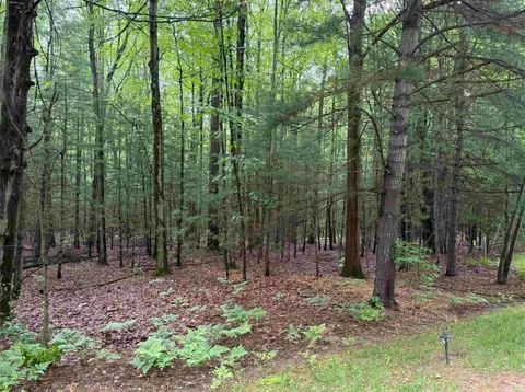Lot 15A Sunset Court, Sanford MI 48657 photo 1