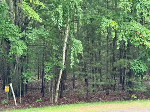 Lot 15A Sunset Court, Sanford MI 48657 photo 3