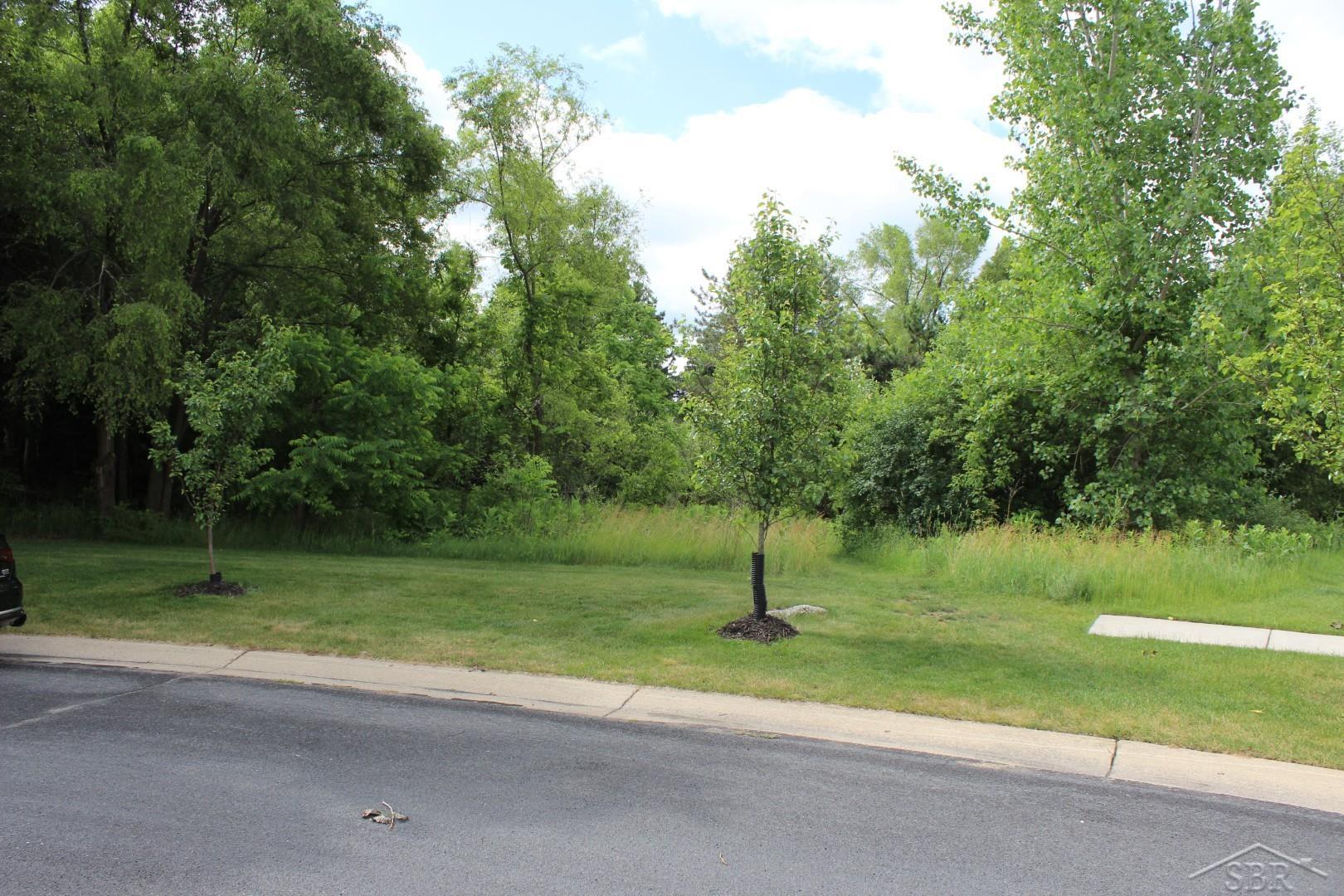 Lot 86 Edgebrook Drive, Saginaw MI 48609 photo 1