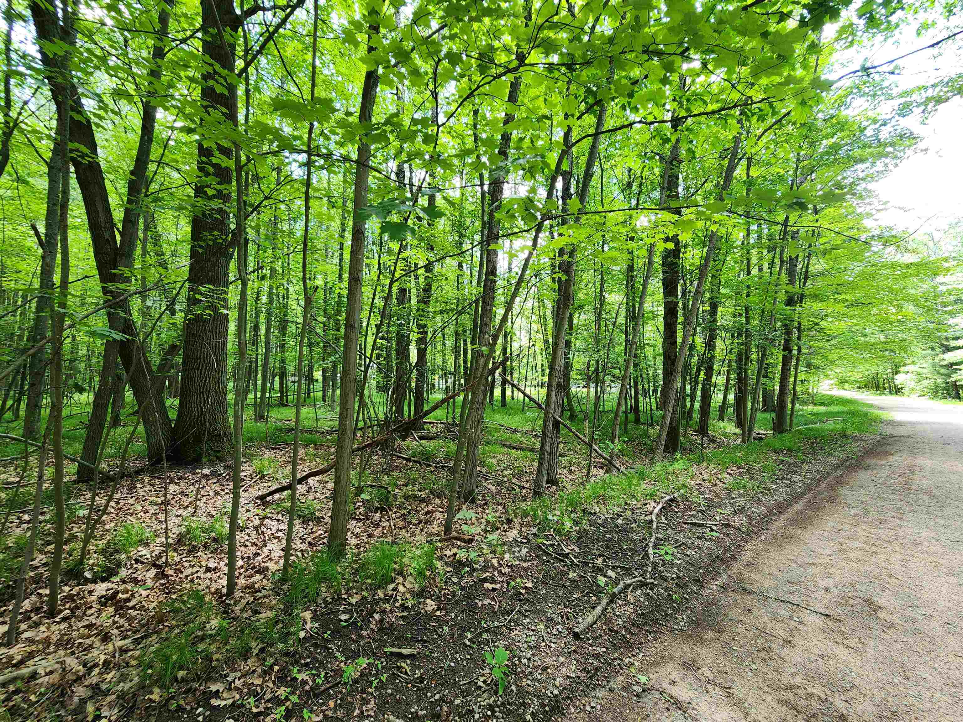 Lot 1118 White Birch Lane, Farwell MI 48622 photo 1