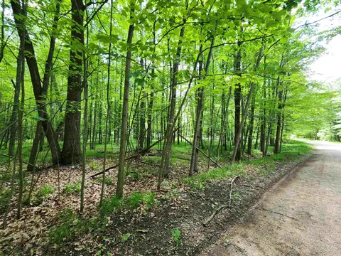Lot 1118 White Birch Lane, Farwell MI 48622 photo 1