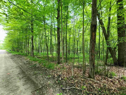 Lot 1118 White Birch Lane, Farwell MI 48622 photo 2