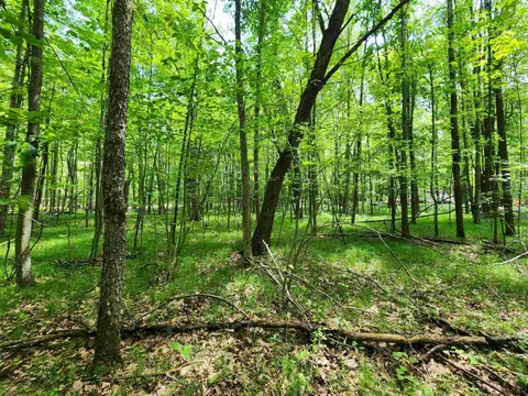 Lot 1118 White Birch Lane, Farwell MI 48622 photo 4