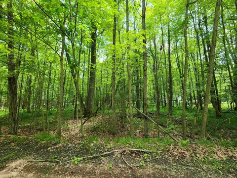 Lot 1118 White Birch Lane, Farwell MI 48622 photo 5