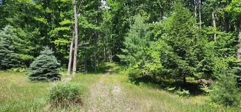 4809 White Birch Lane, Farwell MI 48622 photo 1