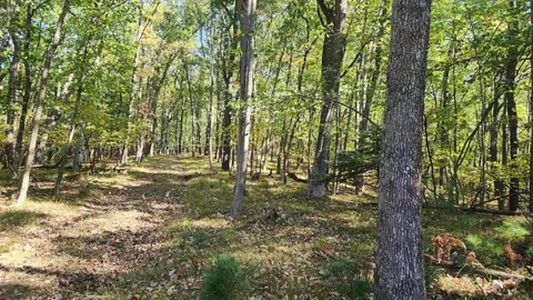4809 White Birch Lane, Farwell MI 48622 photo 3