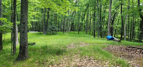 4809 White Birch Lane, Farwell MI 48622 photo 4