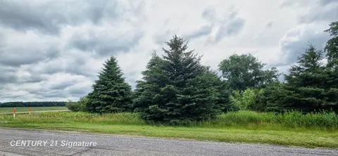 VL Frost Road, Hemlock MI 48626 photo 1