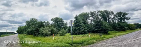 VL Frost Road, Hemlock MI 48626 photo 5