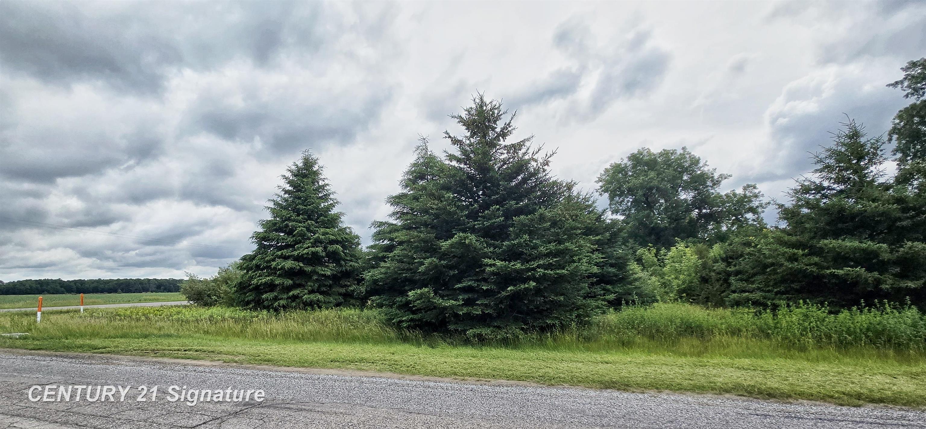 VL Frost Road, Hemlock MI 48626 photo 1