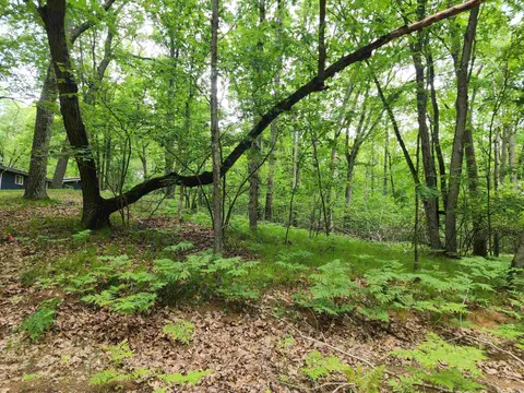 Lot 826 Hemlock Lane, Farwell MI 48622 photo 2