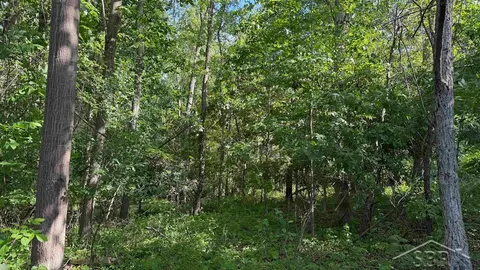 VL E Gordonville Road, Midland MI 48640 photo 4
