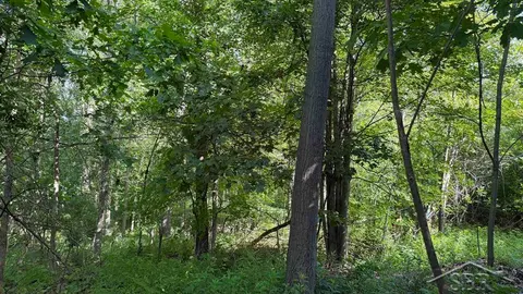VL E Gordonville Road, Midland MI 48640 photo 5