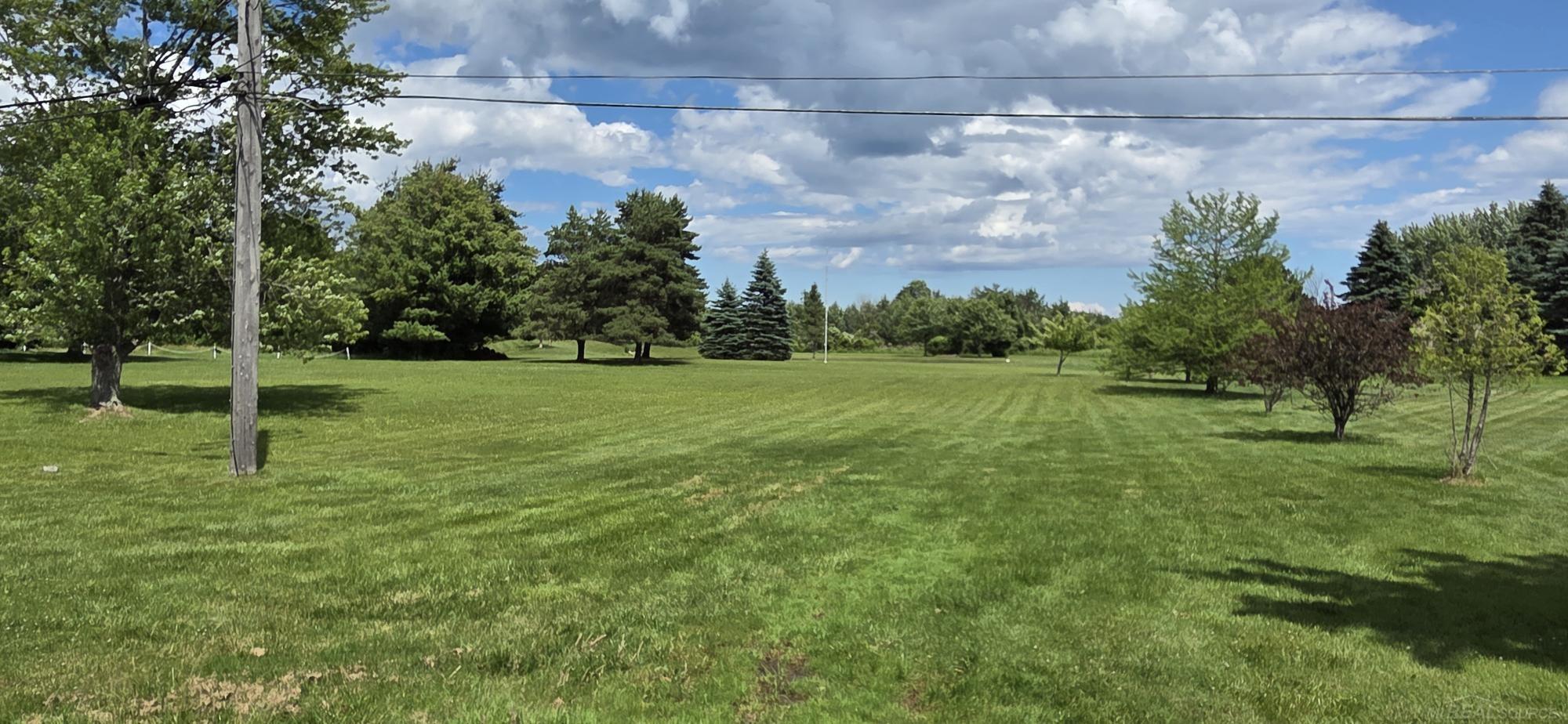 0000 Babcock Road, Lexington MI 48450 photo 1