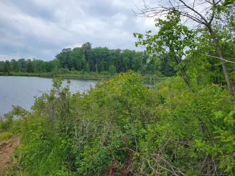 Parcel 2 Simpson Trail, Harrison MI 48625 photo 3