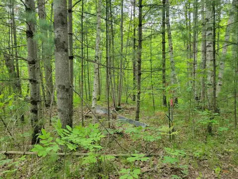Parcel 2 Simpson Trail, Harrison MI 48625 photo 4