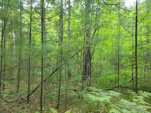 Parcel 2 Simpson Trail, Harrison MI 48625 photo 5