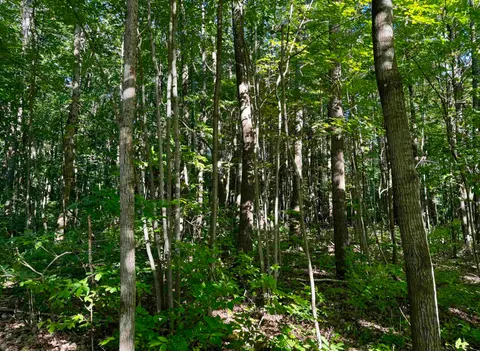 TBD Old State Road, Harrison MI 48625 photo 3