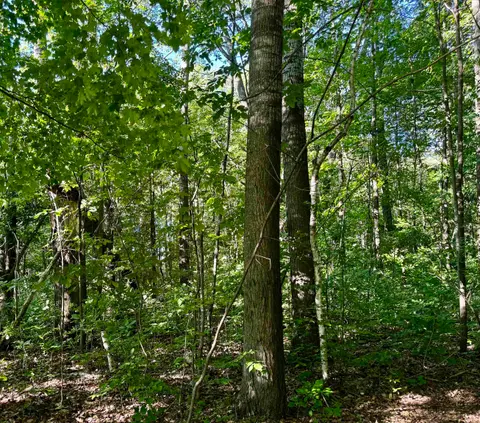 TBD Old State Road, Harrison MI 48625 photo 5