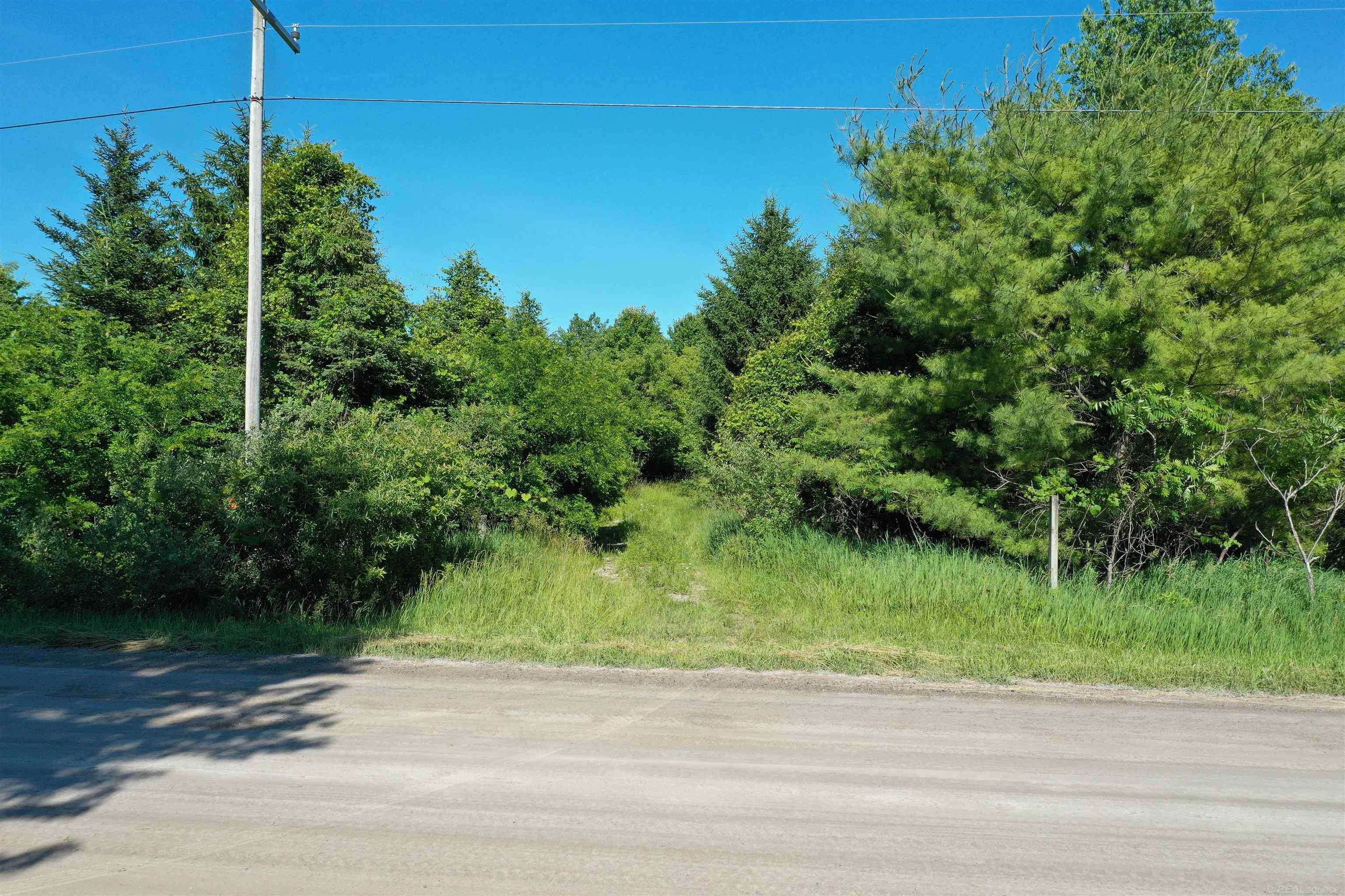 1VL Babcock Road, Lexington MI 48450 photo 1