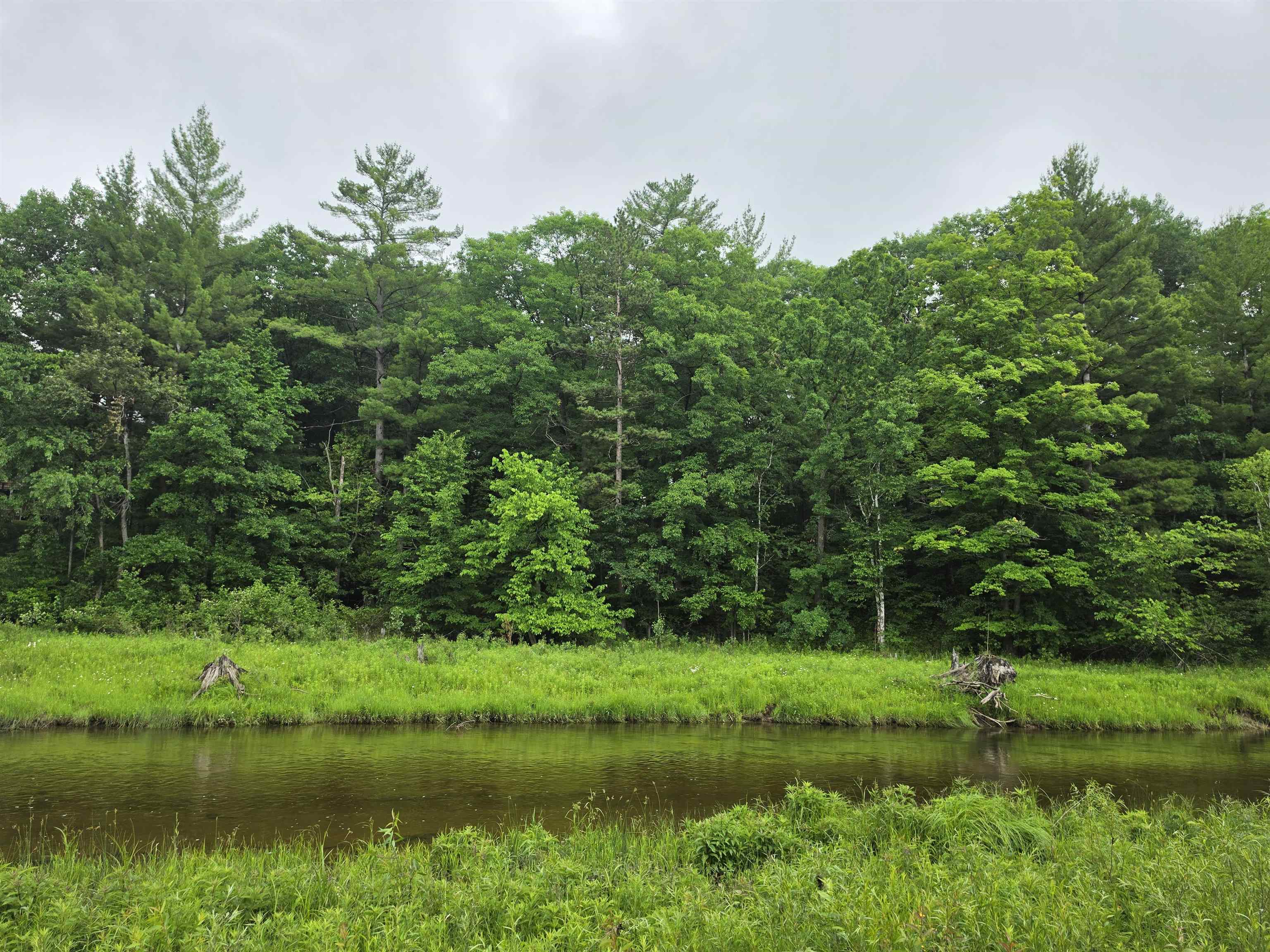 TBD N Lakeshore Drive, Gladwin MI 48624 photo 1