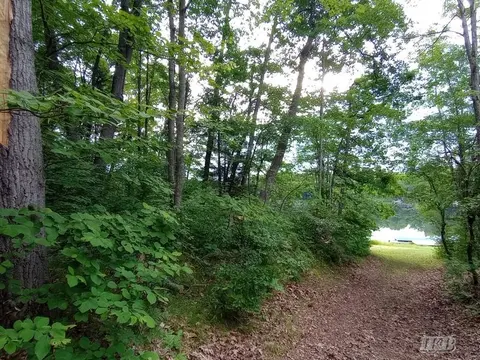 Lot 9 West Road, Harrison MI 48625 photo 4
