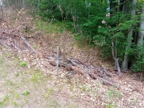 Lot 9 West Road, Harrison MI 48625 photo 5