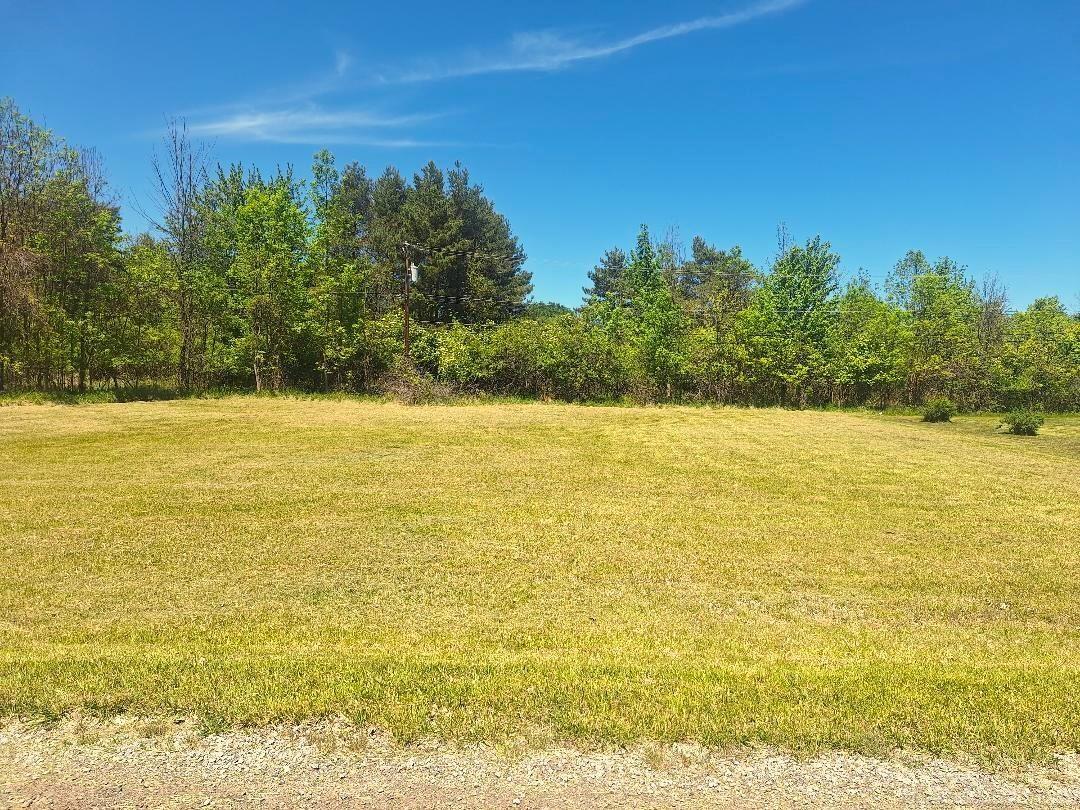 Lot 7 Avalon Circle, Lexington MI 48450 photo 1