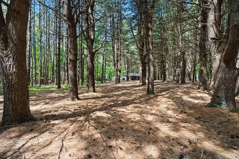 S Fenmore Road, Merrill MI 48637 photo 3
