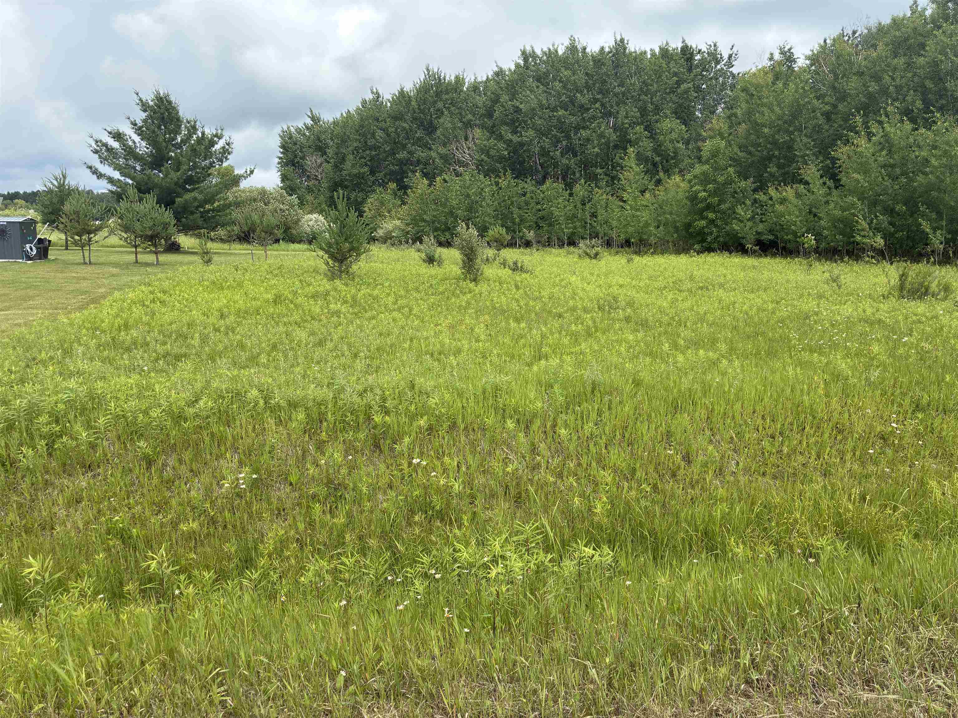 Lot 31 Dundee Drive, Gladwin MI 48624 photo 1