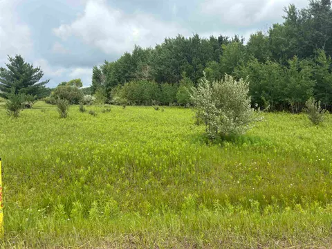Lot 31 Dundee Drive, Gladwin MI 48624 photo 3