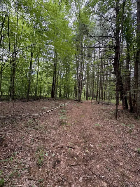 3680 Wieman Road, Beaverton MI 48612 photo 3