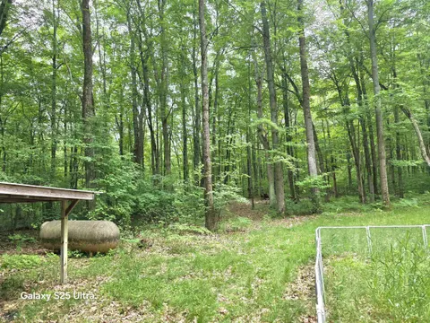 10135 Woods Road, Gladwin MI 48624 photo 3