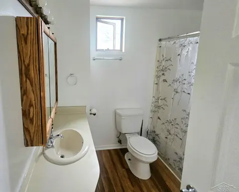 1015 S Webster Street, Saginaw MI 48602 photo 3