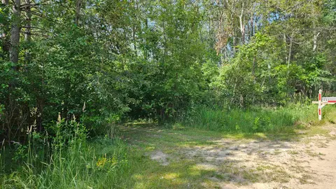 1225 W Sun Oil Road, Gladwin MI 48624 photo 3