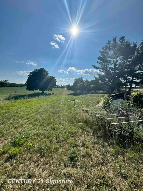 5732 E Grass Lake Road, Clare MI 48617 photo 2